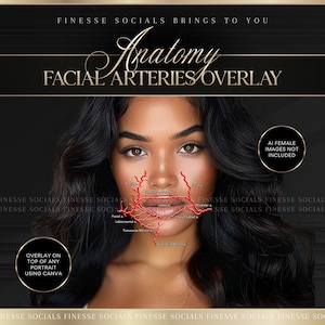 Facial Arteries Overlay (Mouth) | For Aesthetics Practitioners | 1 INDIVIDUAL OVERLAY