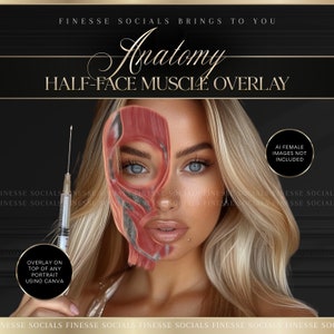 Puede incluir: Gráfico de superposición muscular de media cara. La imagen presenta el rostro de una mujer con una superposición muscular en un lado. El texto incluye "FINESSE SOCIALS BRINGS TO YOU", "Anatomy", "HALF-FACE MUSCLE OVERLAY", "OVERLAY ON TOP OF ANY PORTRAIT USING CANVA" y "AI FEMALE IMAGES NOT INCLUDED".