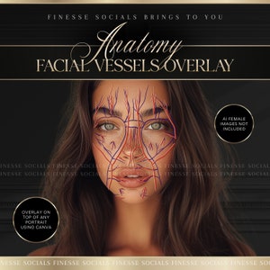 Gesichtsgefäße Anatomisch Overlay | Für Ästhetik Praktiker | 1 INDIVIDUELLE AUFLAGE
