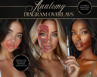 The Luxury Anatomy Overlay Bundle | For Aesthetics Practitioners | Place On Top Of Client Photos