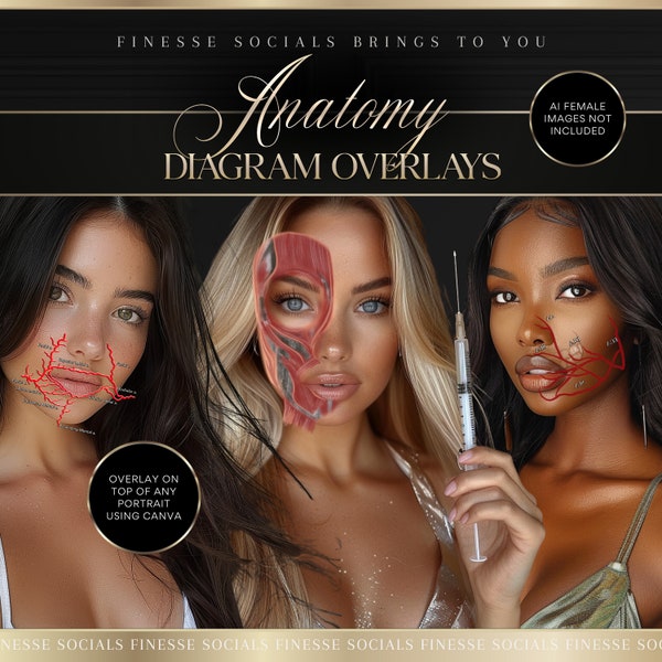 The Luxury Anatomy Overlay Bundle | For Aesthetics Practitioners | Place On Top Of Client Photos