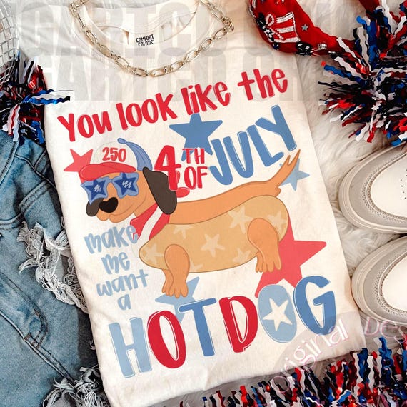 Funny 4th of July Hotdog Dog PNG, Dachshund Patriotic Design, Red White Blue Shirt Graphic