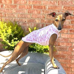 Italian Greyhound (Iggy) Summer Cooling T-Shirt new varieties