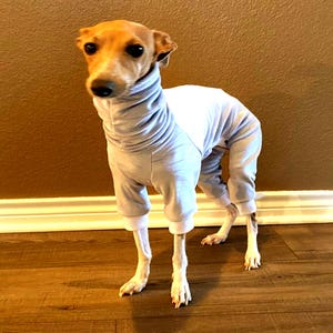Iggy&#39;s very warm velour rompers /Italian greyhound velour jumpsuit