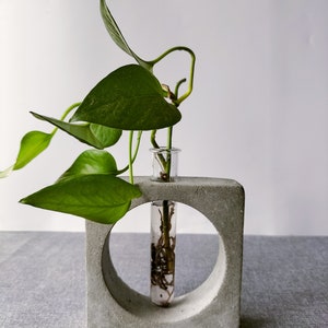 Square Grey Propagation Vase, Propagation Station, Indoor plant holder, Display Vase