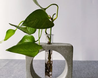 Square Grey Propagation Vase, Propagation Station, Indoor plant holder, Display Vase