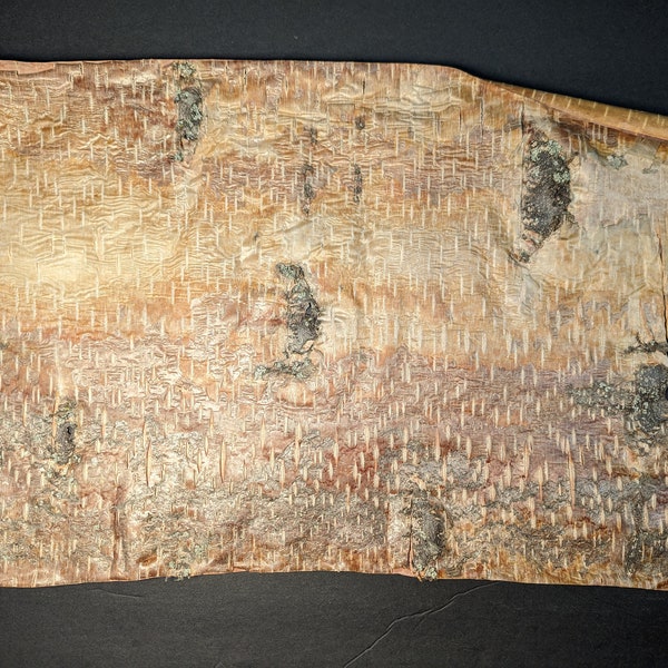 Birch bark sheets
