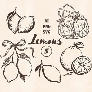Paquete de imágenes prediseñadas de limones dibujados a mano: 5 divertidas ilustraciones de frutas con líneas en formatos PNG y SVG para imprimir, manualidades y proyectos de diseño.