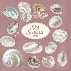 Pode incluir: Uma coleção de conchas iridescentes e pérolas de várias formas e tamanhos, incluindo conchas abertas com pérolas no interior e conchas em espiral. O centro apresenta uma etiqueta oval com o texto SEA SHELLS PNG em letras castanhas.