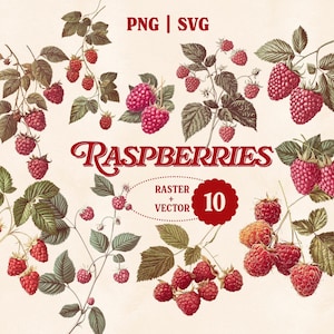 May include: A set of 10 digital illustrations of raspberries, featuring red raspberries with green leaves and stems. The illustrations are in a vintage style and are perfect for use in crafting, scrapbooking, or other creative projects.