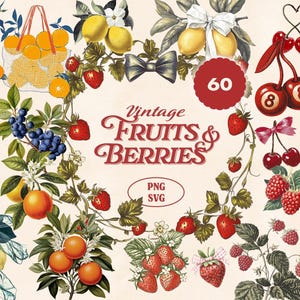 Op de afbeelding: Een digitale afbeelding in vintage-stijl met verschillende soorten fruit en bessen. De afbeelding bevat sinaasappels, citroenen, aardbeien, kersen en frambozen, samen met de tekst "Vintage Fruits & Berries". De afbeelding bevat ook een rode cirkel met het nummer 60.