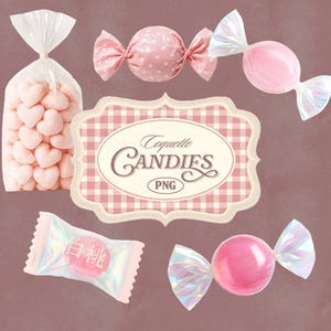 May include: A collection of pink sweets, including heart-shaped candies in a clear bag, wrapped candies, and a candy with Japanese text. A sign with the text "Coquette Candies" is also present.