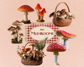Wild Mushroom PNG Set | Realistic Forest Fungi, Basket, Toadstool PNG Clipart for Scrapbooking, Stickers, Sublimation, Fall Cottage Crafts