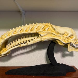 Alien Skull