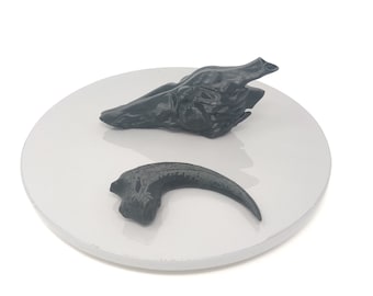 Velociraptor resonating chamber and talon