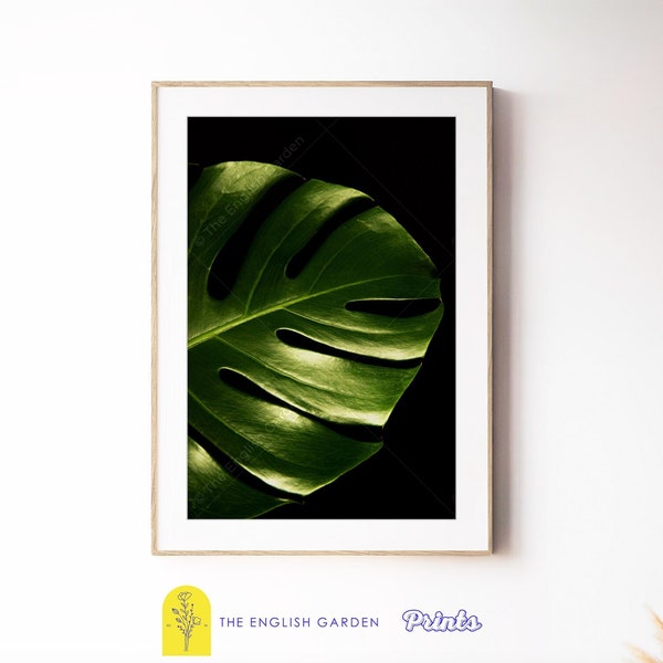 Monstera Leaf Art Print, Dark Botanical Art, Moody Modern Cottagecore Nature Wall Decor, Printable Flower Plant Photography Digital Download