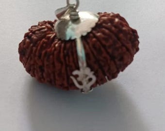 21 Mukhi Rudraksha Sacred Bead Rare- Certified A++ --IGL Lab Certified with Om Pendant