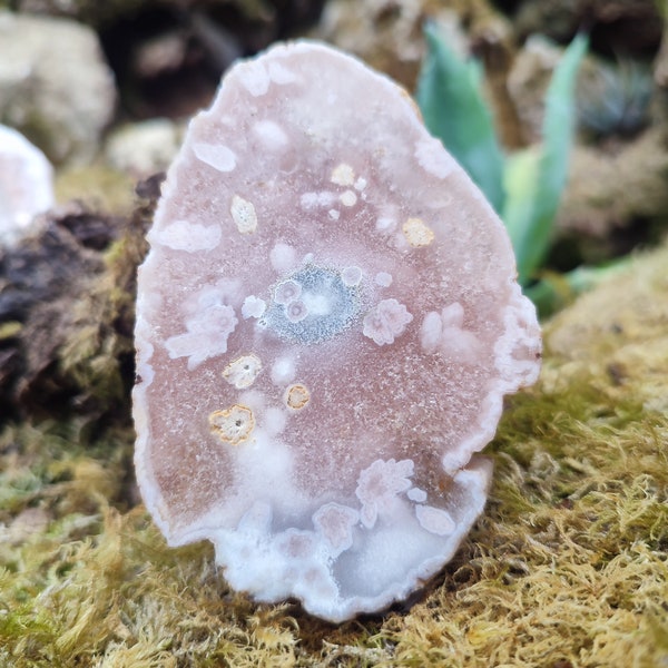 Tranche Améthyste rose/ Agate fleurie, Agate fleur d’améthyste rose, améthyste, améthyste rose