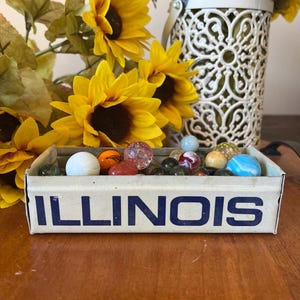 May include: A rectangular box labeled "ILLINOIS" filled with colorful marbles. The marbles are various colors and patterns, including clear, opaque, and swirled designs. Yellow sunflowers and a white decorative vase are in the background.