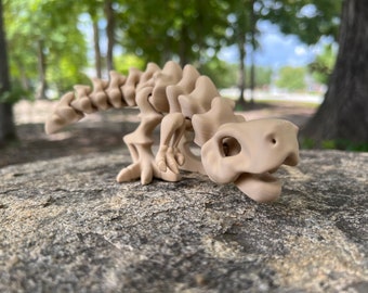 Flexi-Rex Skeleton