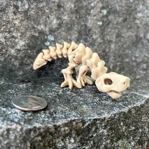 Micro Flexi-Rex Skeleton