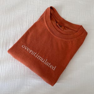Embroidered Overstimulated Comfort Colors Tee, Embroidered Ultra Soft Tee, Monochromatic TShirts