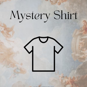 Mystery Shirt - Small Defects/Holes/Production Stains - Comfort Colors Mystery Shirts, Short Sleeve or Long Sleeve
