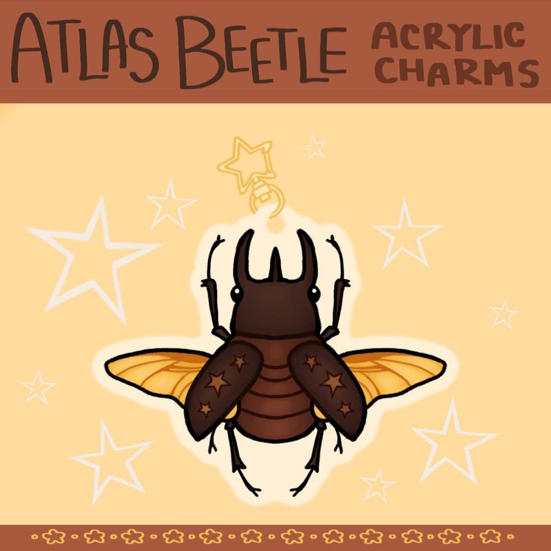 Atlas Beetle - Etsy