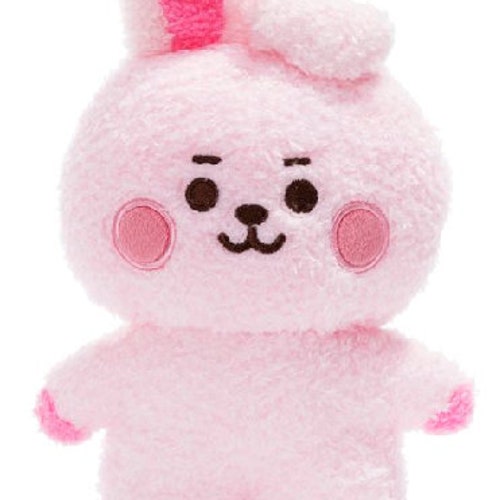 cooky plush bt21