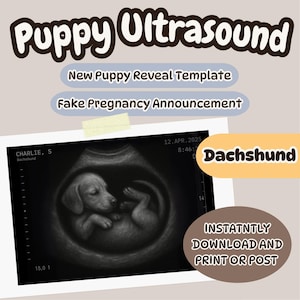 Picture Idea: Editable Puppy Ultrasound Canva Template