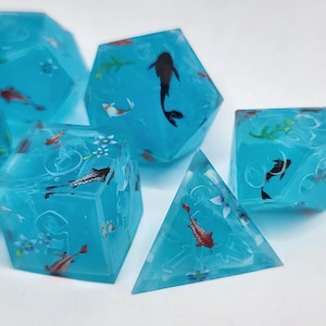 Juego de dados para estanques Koi