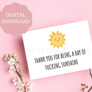 Danke für Sein ein Strahl der Sonne, lustige Dankeskarte, unhöfliche Dankeskarte, Erwachsenen Humor Dankeskarte, DRUCKBARE Karte