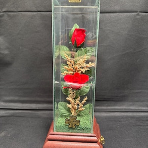 Vintage Chesterseal Lifesake Flowers Real Roses Preserved Flowers