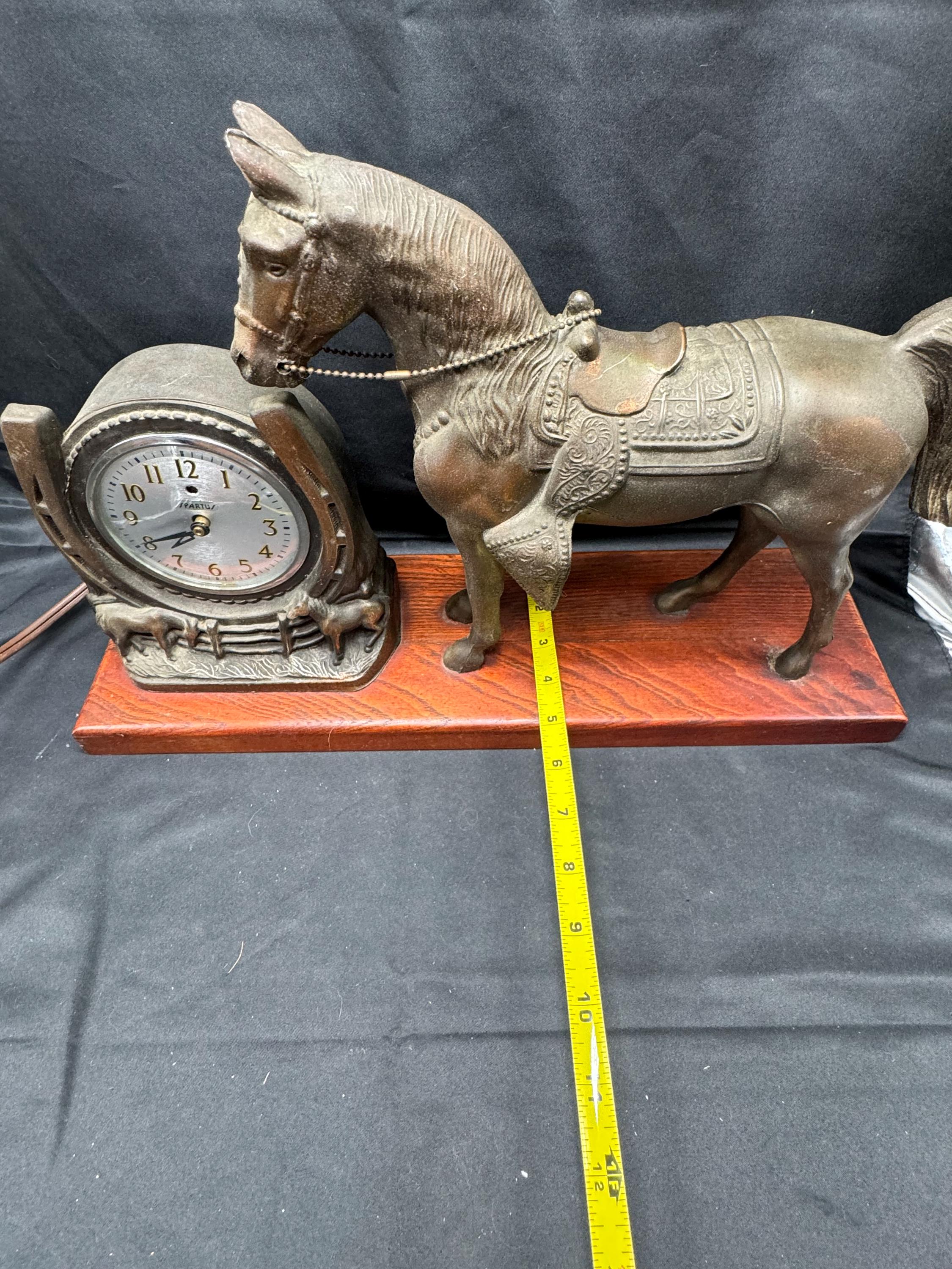 Galter Spartus Yorkshire Electric Western Country Horse Mantle