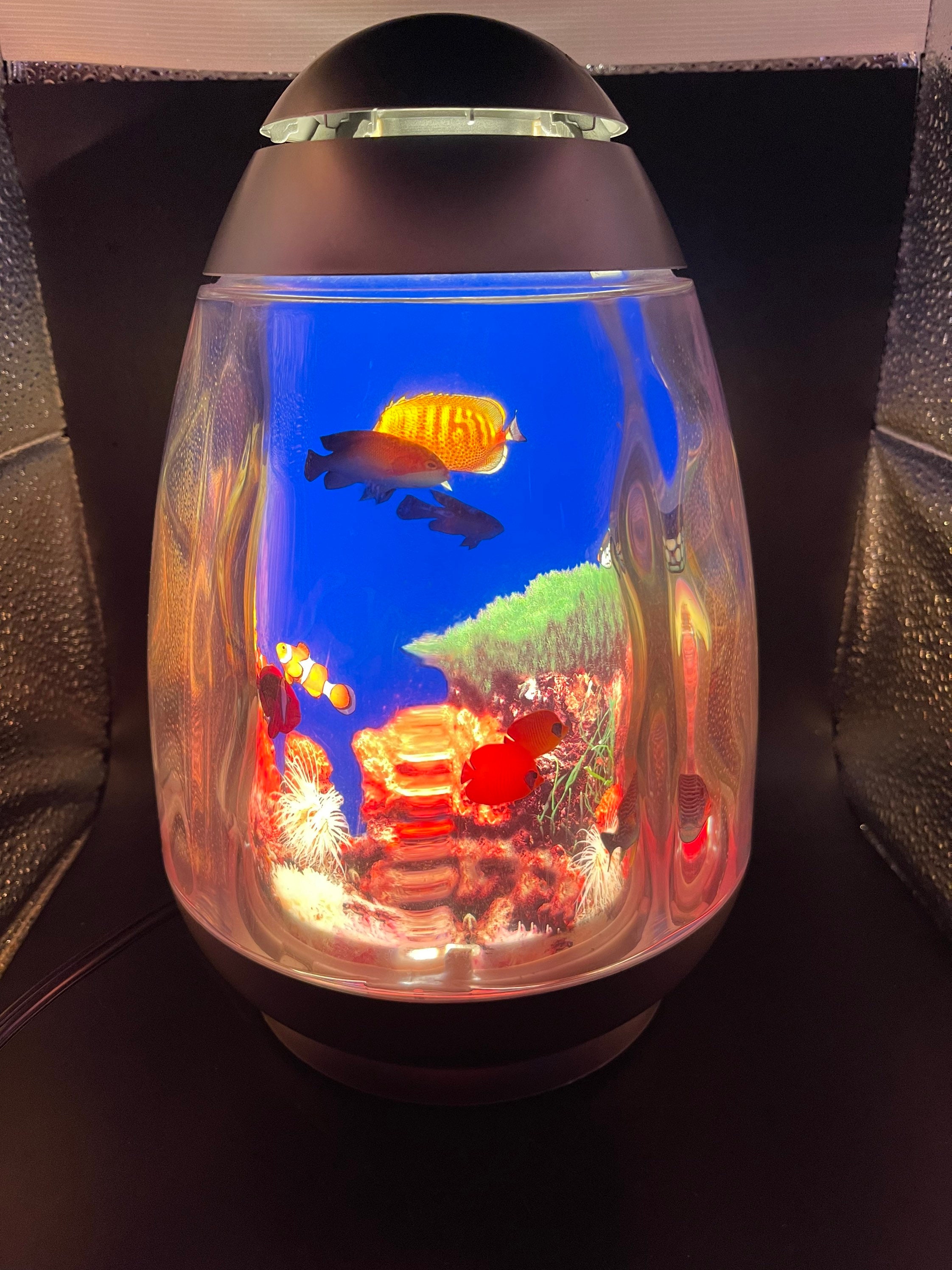 Vintage Fish Aquarium Lamp Night Light Rotating Animated