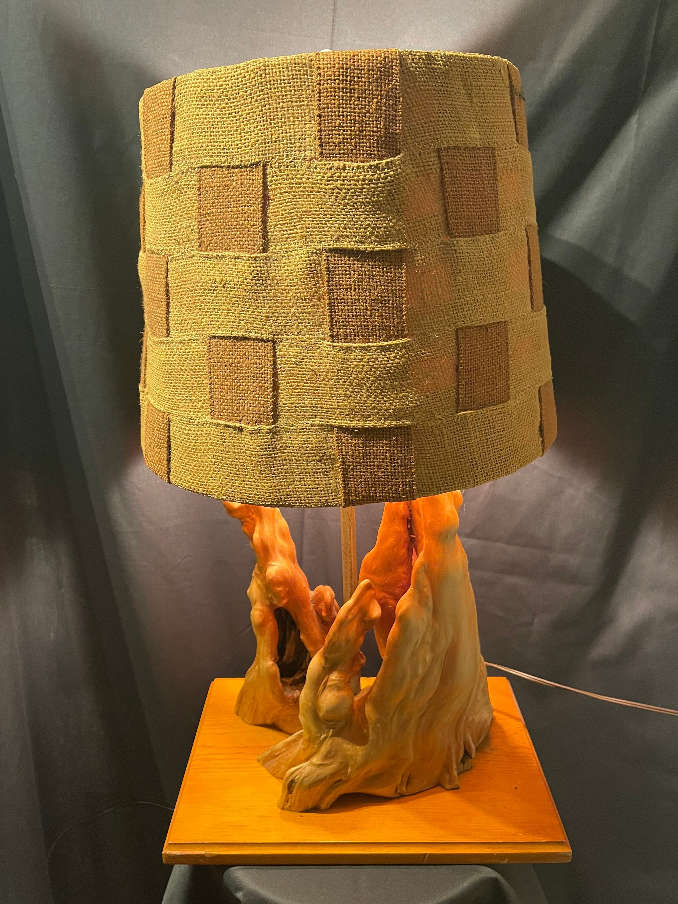 Cypress lamp 2024