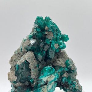 Natural Dioptase Cluster (Republic of the Congo)