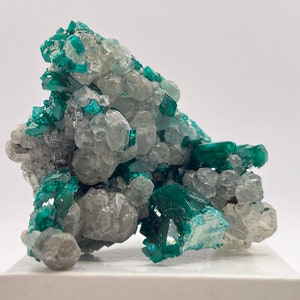 Natural Dioptase Cluster (Republic of the Congo)