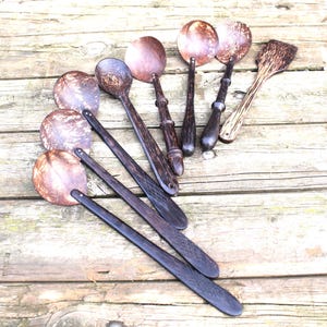 May include: A set of eight wooden spoons and a spatula made from coconut shells. The spoons are dark brown and have a natural wood grain. The spatula is also dark brown and has a slightly lighter wood grain.
