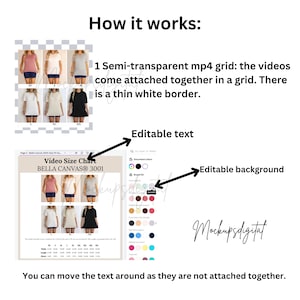 Editable Bella Canvas 3001 Video Size Chart Bella Canvas 3001 Video Canva Editable Video Size Chart Video Size Guide 3001 Bella Size Chart