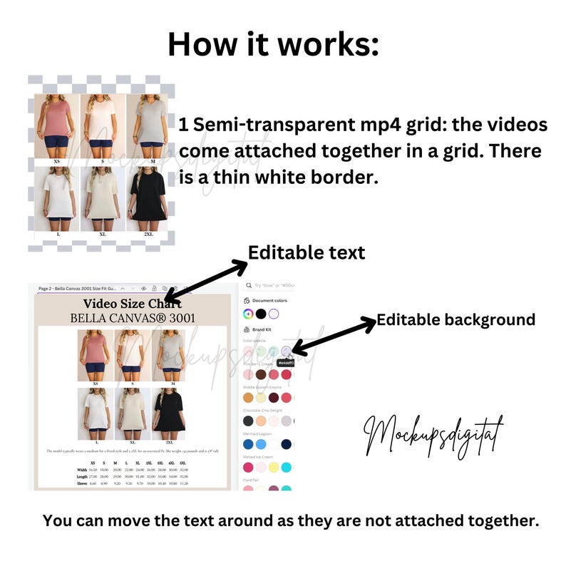Editable Bella Canvas 3001 Video Size Chart Bella Canvas 3001 Video Canva Editable Video Size Chart Video Size Guide 3001 Bella Size Chart