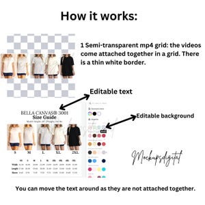 Editable Bella Canvas 3001 Video Size Chart Bella Canvas 3001 Video Mockup Oversized Video Size Chart 3001 Size Guide 3001 Bella Size Chart