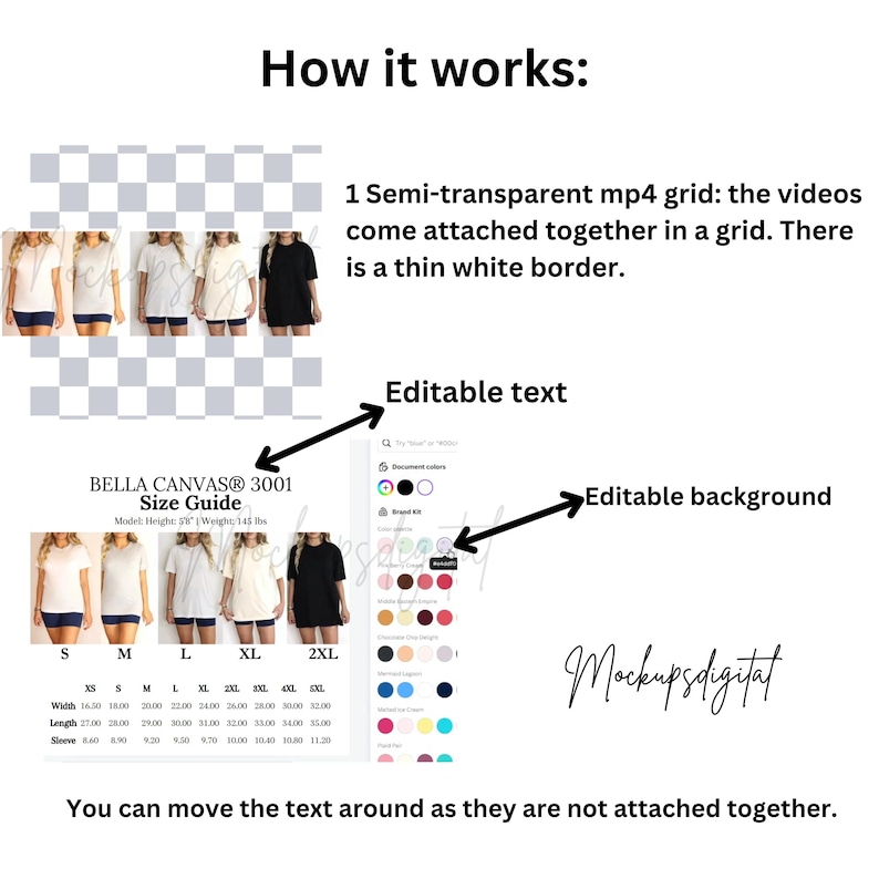 Editable Bella Canvas 3001 Video Size Chart Bella Canvas 3001 Video Mockup Oversized Video Size Chart 3001 Size Guide 3001 Bella Size Chart