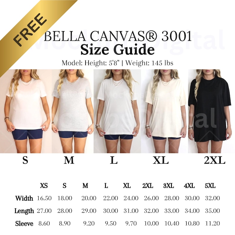 Bella Canvas 3001 Video Size Guide Bella Canvas 3001 Video Mockup Oversized Video Size Chart Retro Mockup Size Guide 3001 Bella Size Chart