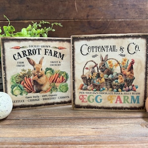 May include: Two wooden signs with vintage-style illustrations. One features a rabbit with carrots and the text "Carrot Farm." The other shows rabbits, chickens, and eggs with the text "Egg Farm." The signs are on a wooden surface.