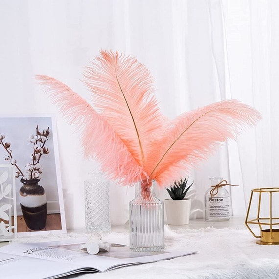 10Pcs/Lot Natural Ostrich Feathers for Crafts White Feathers for Vases  Wedding Party Decoration Handicraft Accessories DIY Plume