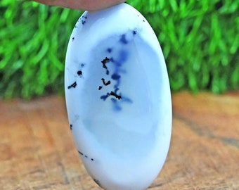 Natural Merlinite Dendritic Opal Palm Gemstone