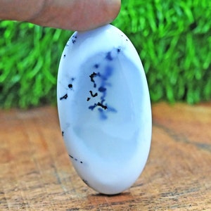 Natural Merlinite Dendritic Opal Palm Gemstone