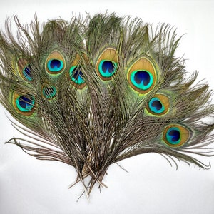 20pcs, Peacock Feathers, REAL Feathers, Natural Feathers, 23-30 Cm, Feather  Crafts, Floral Arranging, Bird Feathers, Feather Hair Clip 