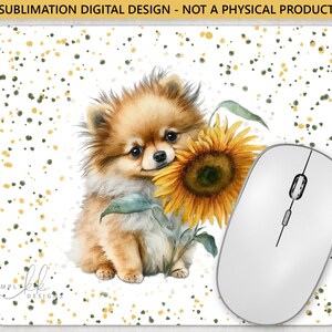 Pommern und eine Sonnenblume, Mauspad, Sublimationsdesign, PNG digitale Datei, kommerzielle Nutzung, Small Business SUN180